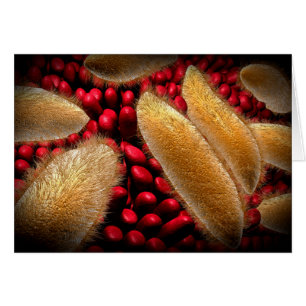 Conceptueel Afbeelding van paramecium 1