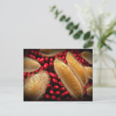 Conceptueel Afbeelding van paramecium 1 Briefkaart (Staand voorkant)