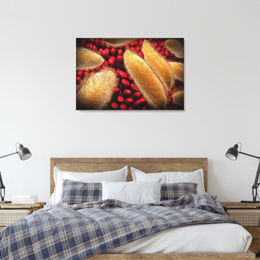 Conceptueel Afbeelding van paramecium 1 Canvas Afdruk (Insitu (Slaapkamer))