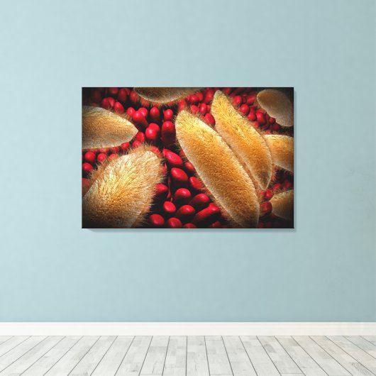 Conceptueel Afbeelding van paramecium 1 Canvas Afdruk (Insitu (Houten vloer))