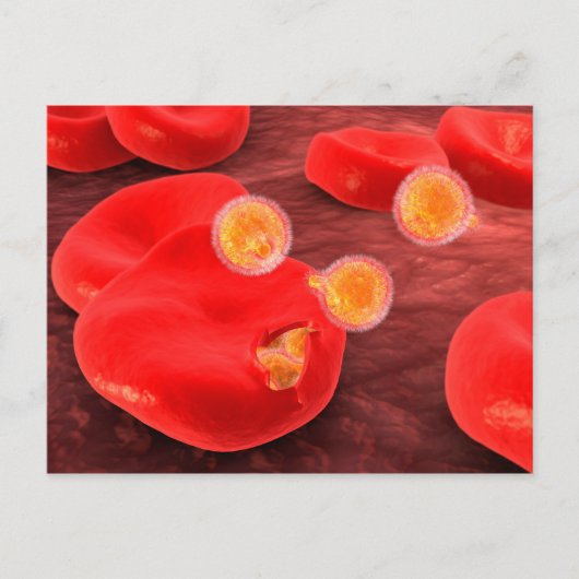 Conceptueel Afbeelding van paramecium 2 Briefkaart (Voorkant)