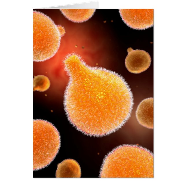 Conceptueel Afbeelding van plasma dat malaria vero (Voorkant)