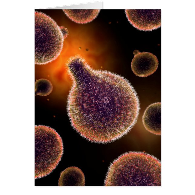 Conceptueel Afbeelding van plasma dat malaria vero (Voorkant)