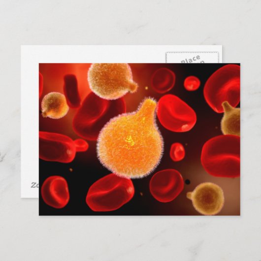 Conceptueel Afbeelding van plasma dat malaria vero Briefkaart (Voorkant / Achterkant)