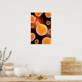 Conceptueel Afbeelding van plasma dat malaria vero Poster (Keuken)