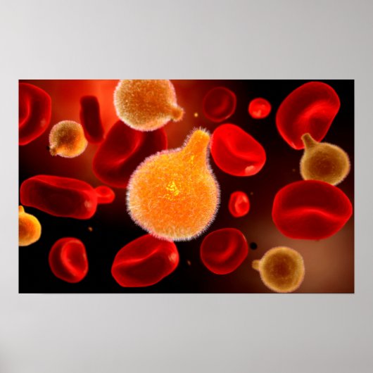 Conceptueel Afbeelding van plasma dat malaria vero Poster (Voorkant)