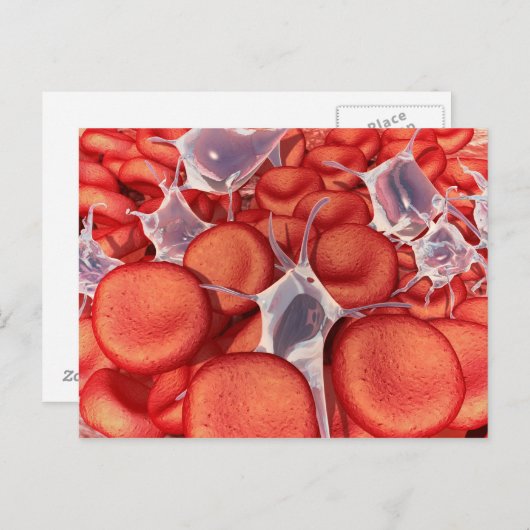 Conceptueel Afbeelding van rode bloedcellen 2 Briefkaart (Voorkant / Achterkant)