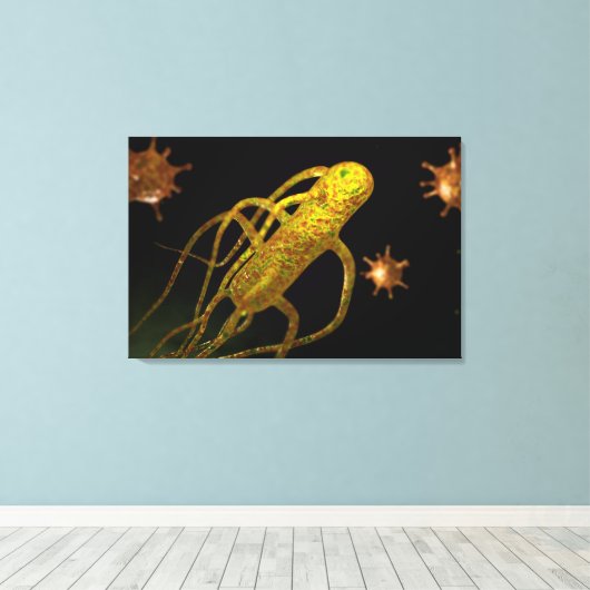 Conceptueel Afbeelding van Salmonella typhi 1 Canvas Afdruk (Insitu (Houten vloer))