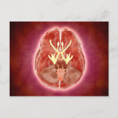 Conceptueel Afbeelding van schedelzenuwen in herse Briefkaart (Voorkant)