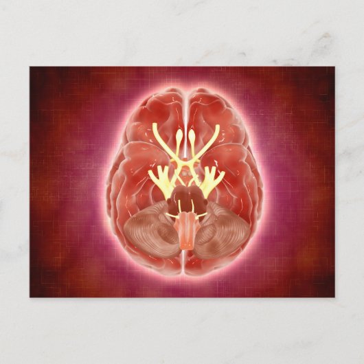 Conceptueel Afbeelding van schedelzenuwen in herse Briefkaart (Voorkant)