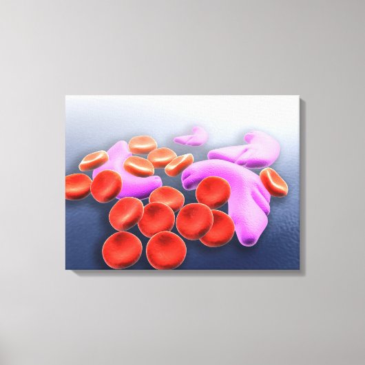 Conceptueel Afbeelding van sikkelcelanemie Canvas Afdruk (Voorkant)