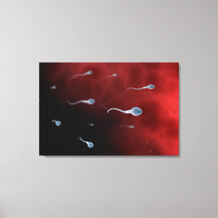 Conceptueel Afbeelding van spier- en skeletspieren Canvas Afdruk