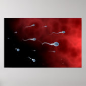 Conceptueel Afbeelding van spier- en skeletspieren Poster (Voorkant)