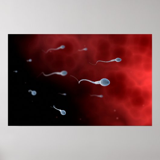 Conceptueel Afbeelding van spier- en skeletspieren Poster (Voorkant)