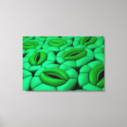 Conceptueel Afbeelding van Stomata 1 Canvas Afdruk (Voorkant)