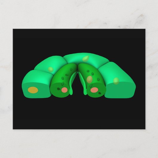 Conceptueel Afbeelding van Stomata 2 Briefkaart (Voorkant)