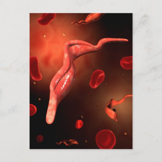 Conceptueel Afbeelding van trypanosoma 1 Briefkaart (Voorkant)