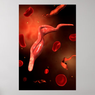 Conceptueel Afbeelding van trypanosoma 1 Poster