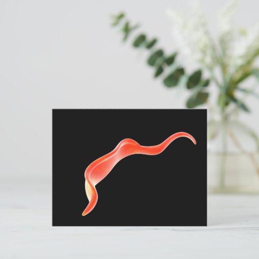 Conceptueel Afbeelding van trypanosoma 2 Briefkaart (Staand voorkant)