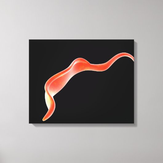 Conceptueel Afbeelding van trypanosoma 2 Canvas Afdruk (Voorkant)