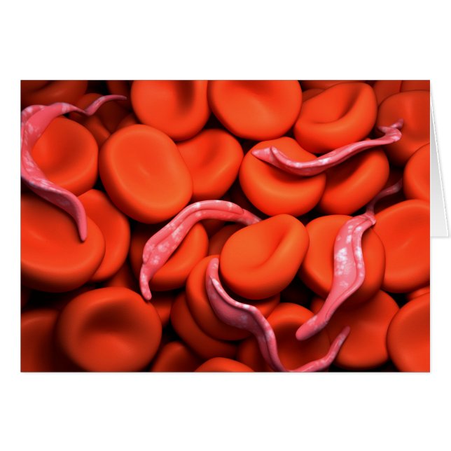 Conceptueel Afbeelding van trypanosoma 3 (Voorkant Horizontaal)