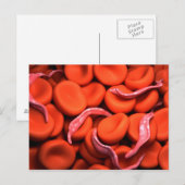 Conceptueel Afbeelding van trypanosoma 3 Briefkaart (Voorkant / Achterkant)