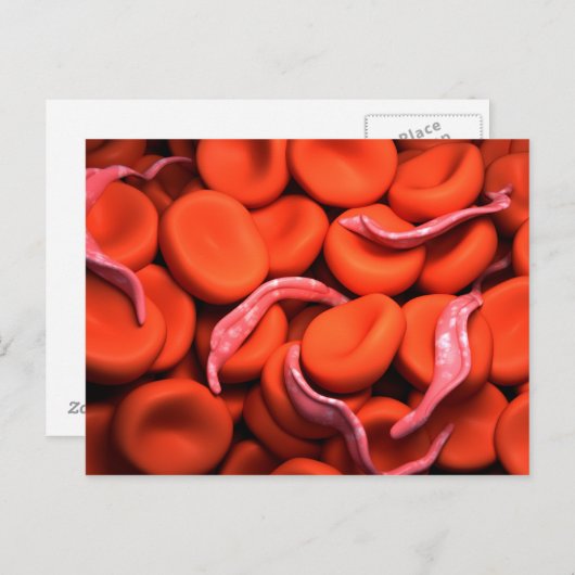 Conceptueel Afbeelding van trypanosoma 3 Briefkaart (Voorkant / Achterkant)