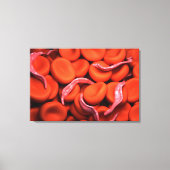 Conceptueel Afbeelding van trypanosoma 3 Canvas Afdruk (Voorkant)