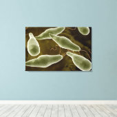 conceptueel Afbeelding van uglena 3 Canvas Afdruk (Insitu (Houten vloer))