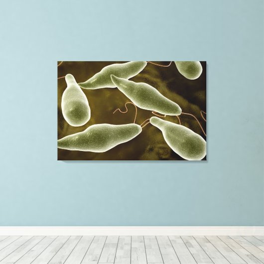 conceptueel Afbeelding van uglena 3 Canvas Afdruk (Insitu (Houten vloer))