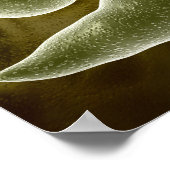 conceptueel Afbeelding van uglena 3 Poster (Hoek)