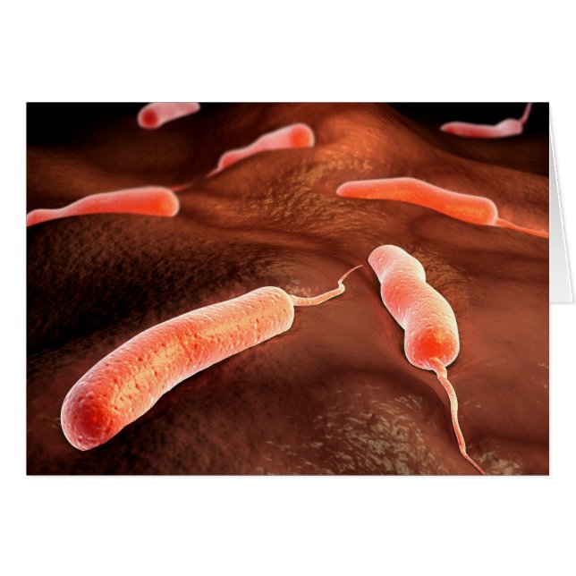 Conceptueel Afbeelding van vibrio cholerae 1 (Voorkant Horizontaal)