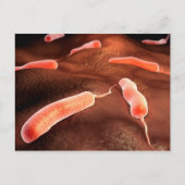 Conceptueel Afbeelding van vibrio cholerae 1 Briefkaart (Voorkant)