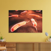 Conceptueel Afbeelding van vibrio cholerae 1 Canvas Afdruk (Insitu (Woonkamer))