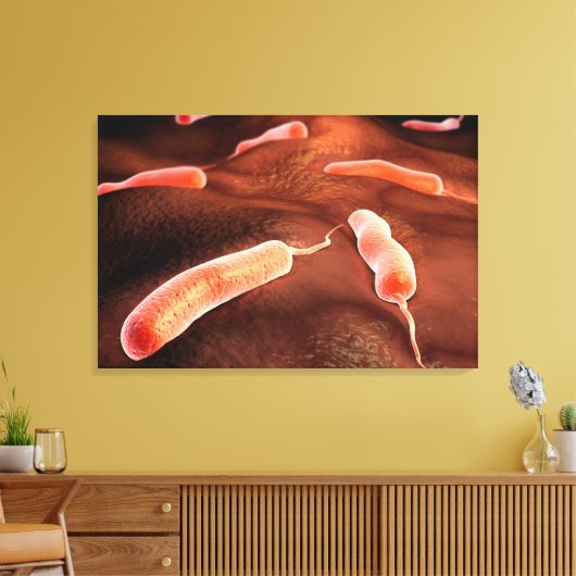 Conceptueel Afbeelding van vibrio cholerae 1 Canvas Afdruk (Insitu (Woonkamer))