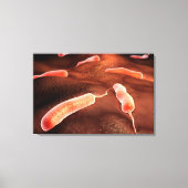 Conceptueel Afbeelding van vibrio cholerae 1 Canvas Afdruk (Voorkant)