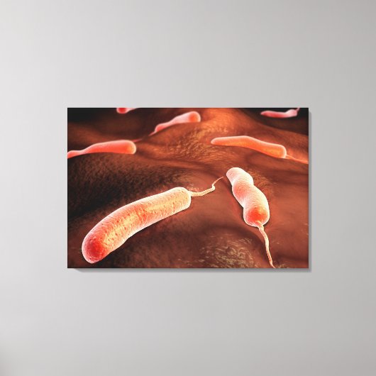 Conceptueel Afbeelding van vibrio cholerae 1 Canvas Afdruk (Voorkant)
