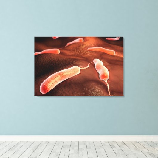 Conceptueel Afbeelding van vibrio cholerae 1 Canvas Afdruk (Insitu (Houten vloer))