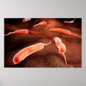 Conceptueel Afbeelding van vibrio cholerae 1 Poster (Voorkant)