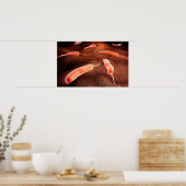 Conceptueel Afbeelding van vibrio cholerae 1 Poster (Keuken)