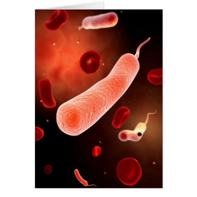 Conceptueel Afbeelding van Vibrio Cholerae 2 (Voorkant)