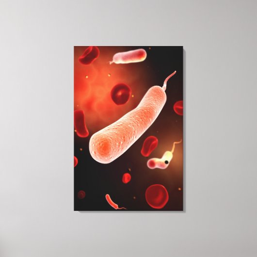 Conceptueel Afbeelding van Vibrio Cholerae 2 Canvas Afdruk (Voorkant)