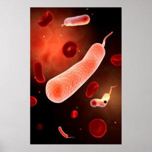 Conceptueel Afbeelding van Vibrio Cholerae 2 Poster