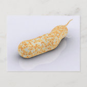 Conceptueel Afbeelding van Vibrio Cholerae 3 Briefkaart (Voorkant)