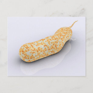 Conceptueel Afbeelding van Vibrio Cholerae 3 Briefkaart