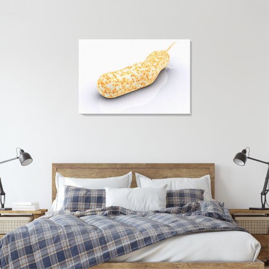 Conceptueel Afbeelding van Vibrio Cholerae 3 Canvas Afdruk (Insitu (Slaapkamer))