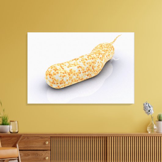 Conceptueel Afbeelding van Vibrio Cholerae 3 Canvas Afdruk (Insitu (Woonkamer))