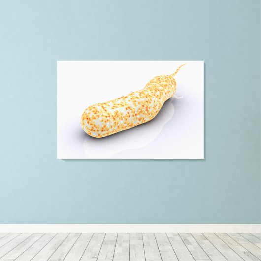 Conceptueel Afbeelding van Vibrio Cholerae 3 Canvas Afdruk (Insitu (Houten vloer))
