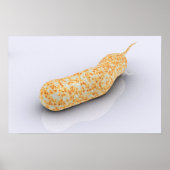 Conceptueel Afbeelding van Vibrio Cholerae 3 Poster (Voorkant)