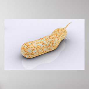 Conceptueel Afbeelding van Vibrio Cholerae 3 Poster